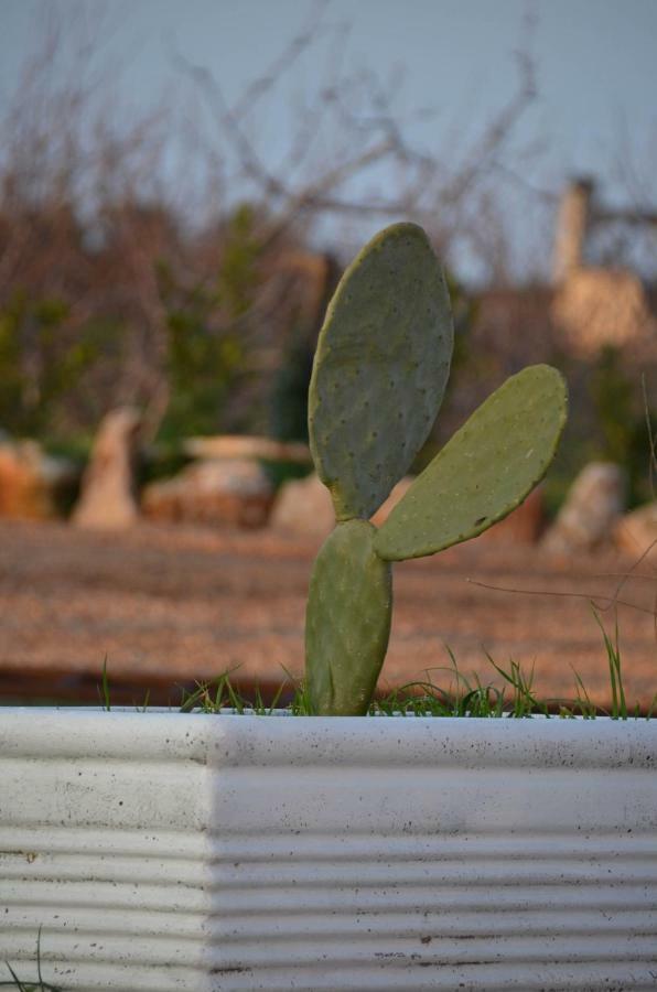Masseria Poli Country House Conversano Kültér fotó